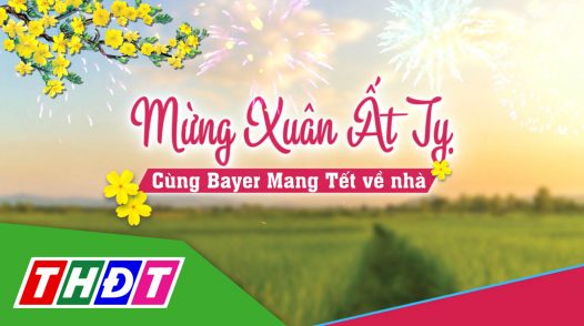 Cùng Bayer mang Tết về nhà - Tập 1