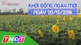 Pháp luật & Cuộc sống - 20/12/2018