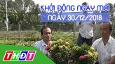 Giá xăng giảm từ 0h ngày 1/1/2019