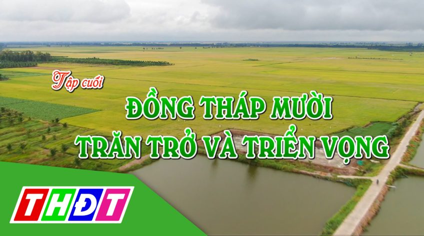 Ký sự Mật mã Đồng Tháp Mười - 02/01/2021- Tập cuối: Đồng Tháp Mười - Trăn trở và triển vọng