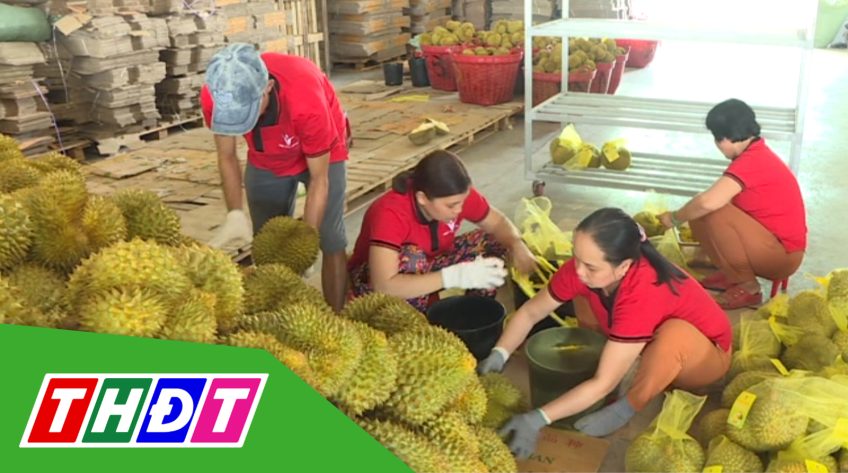 Trái cây Việt xuất ngoại ngay từ đầu năm