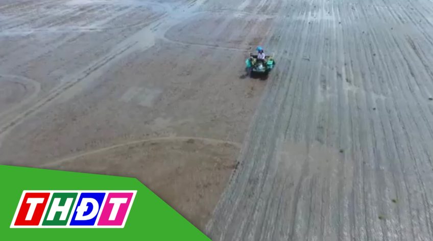 Phóng sự: Phát triển nông nghiệp đại điền theo định hướng xã hội chủ nghĩa tại Đồng Tháp