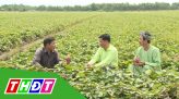 Tiếp sức cùng nông dân, 18/8/2020: Thăm vườn sầu riêng của tỷ phú nông dân Ngô Tấn Trung