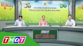 Tư vấn pháp luật - 25/6/2019: Pháp luật về phòng chống ma túy