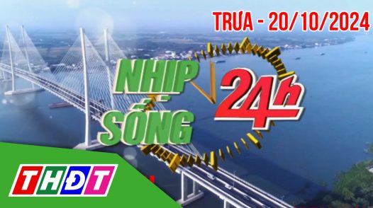 Nhịp sống 24h – Trưa, chủ Nhật, 20/10/2024