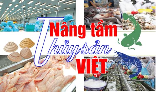 Nâng tầm thủy sản Việt - 15/04/2026: Godaco và bài toán nguồn nhân lực