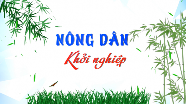 Nông dân khởi nghiệp - 03/12/2023: Mô hình khởi nghiệp của thanh niên Nguyễn Thế Ngoan Vinh