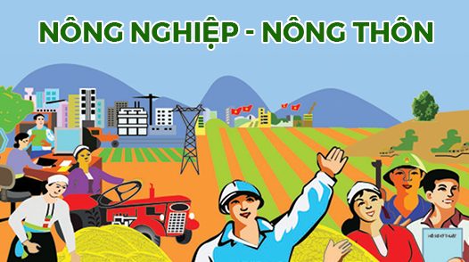 Nông nghiệp - nông thôn – 30/10/2024