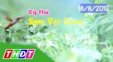 Đặc sản miền sông nước - Cá lóc hấp bầu