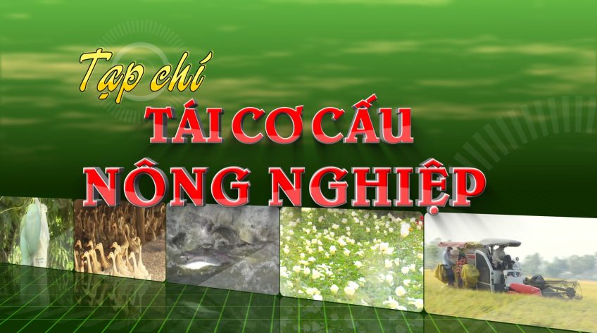 Tái cơ cấu nông nghiệp - 05/10/2025: Thúc đẩy xuất khẩu nông thủy sản sang thị trường Trung Quốc