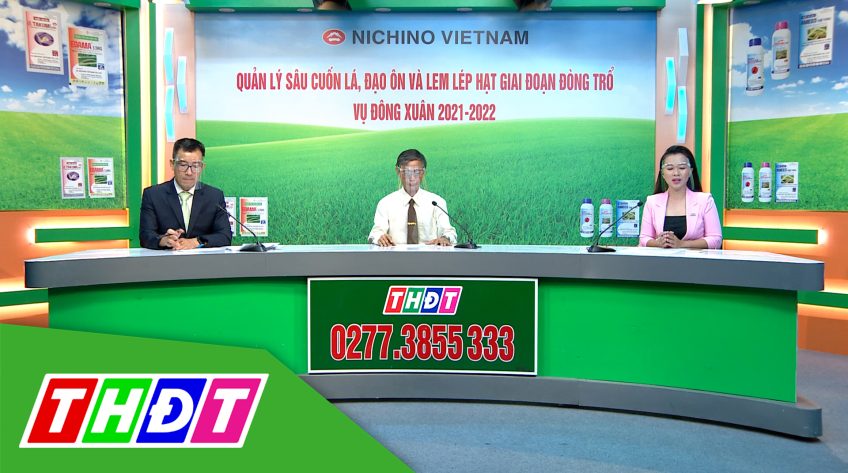 Tư vấn khuyến nông - 14/2/2022 - Quản lý sâu cuốn lá,đạo ôn và lem lép hạt giai đoạn đòng trổ vụ Đông Xuân 2021 - 2022