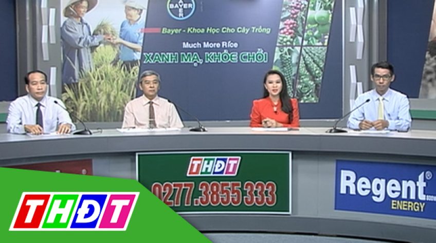 Tọa đàm khuyến nông: Much More Rice xanh mạ khỏe chồi - 27/4/2019
