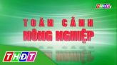 Toàn cảnh nông nghiệp - 22/01/2024: Một số lưu ý khi xử lý ra bông sầu riêng