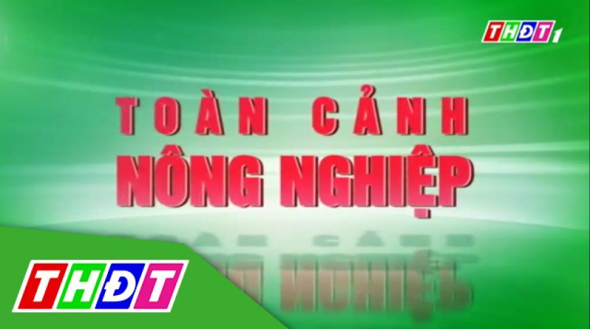Toàn cảnh nông nghiệp - 23/4/2022: Đồng Tháp chấm thi tuyến đường nông thôn kiểu mẫu