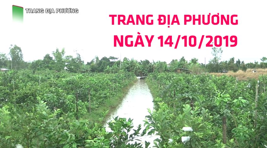 Trang tin địa phương - 14/10/2019 - Huyện Tháp Mười