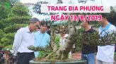 Trang dia phương - 17/8/2019 - TX. Hồng Ngự