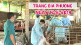 Trang tin địa phương - Thứ Ba, 02/7/2019 - Tp. Sa Đéc