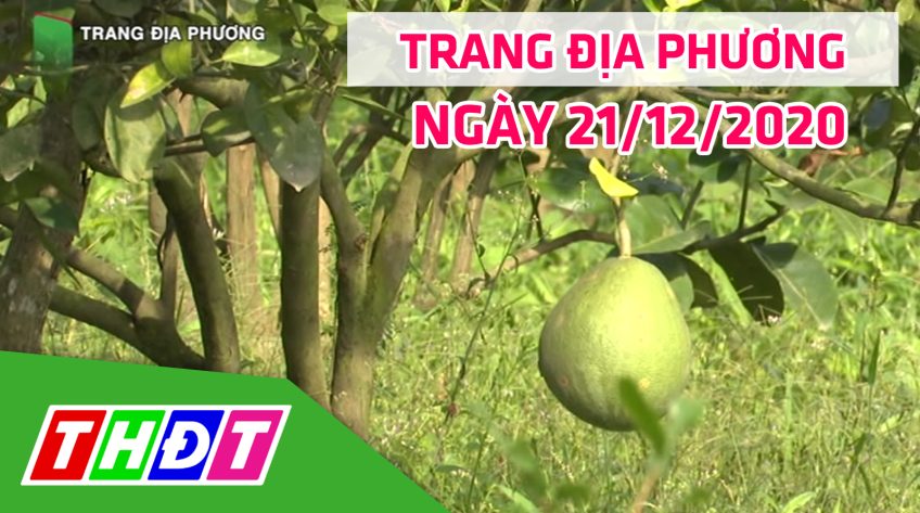 Trang tin địa phương - Thứ hai, 21/12/2020 - Huyện Tháp Mười