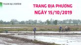 Trang địa phương - Thứ Bảy, 19/10/2019 - Huyện Tân Hồng