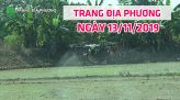 Trang địa phương - Thứ Năm, 21/11/2019 - Huyện Tam Nông