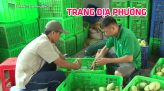 Trang tin địa phương - Thứ hai, 12/10/2020 - Huyện Tháp Mười