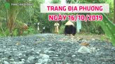 Trang địa phương - Thứ Bảy, 19/10/2019 - Huyện Tân Hồng