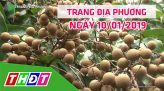 Trang tin địa phương - Thứ Bảy, 19/01/2019 - Thị Xã Hồng Ngự