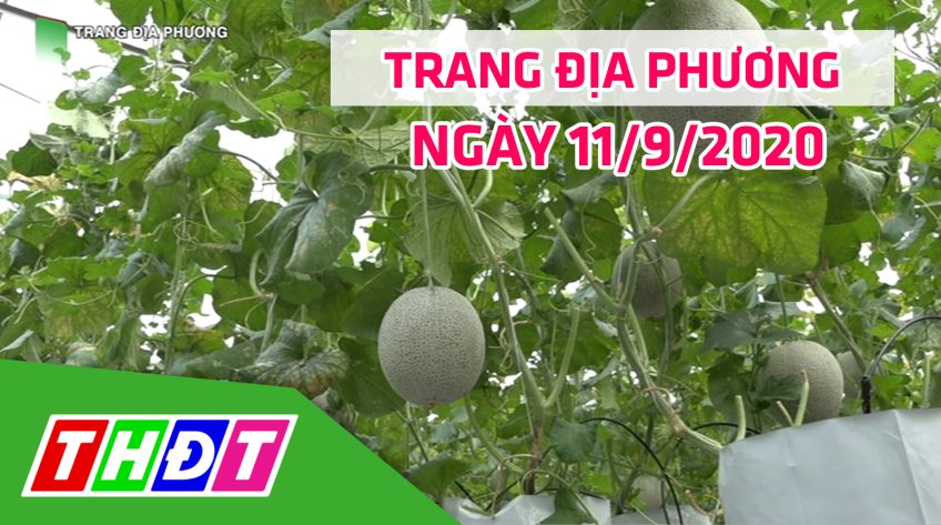 Trang tin địa phương - Thứ sáu, 11/9/2020 - Huyện Lấp Vò