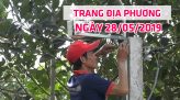 Trang tin địa phương - Thứ Tư, 29/5/2019 - Huyện Cao Lãnh