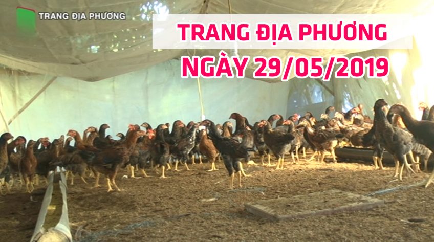 Trang tin địa phương - Thứ Tư, 29/5/2019 - Huyện Cao Lãnh