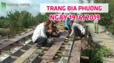 Trang tin địa phương - Thứ Năm, 20/6/2019 - Huyện Tam Nông