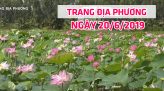 Trang tin địa phương - Thứ Ba, 25/6/2019 - Huyện Hồng Ngự