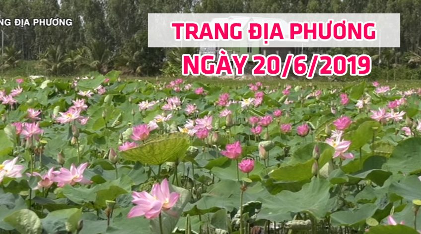 Trang tin địa phương - Thứ Năm, 20/6/2019 - Huyện Tam Nông