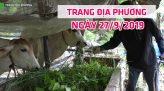 Trang tin địa phương - 28/9/2019 - Thị xã Hồng Ngự