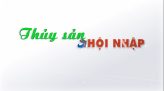 Thủy sản hội nhập - 12/02/2026: Làng nghề thủy sản nhộn nhịp ngày cuối năm