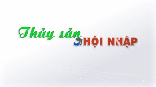 Thủy sản hội nhập - 11/12/2025: Nuôi thành công cá bóng mú trên ao đất