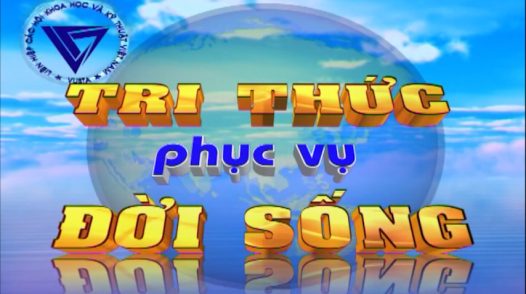 Tri thức phục vụ đời sống - 15/11/2025: Kiểm soát hiệu quả dịch tả heo Châu Phi