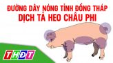 Cẩn trọng với sâu keo mùa Thu