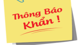 Người dân Đồng Tháp tin tưởng vào Ban chấp hành Trung ương Đảng khóa XIII