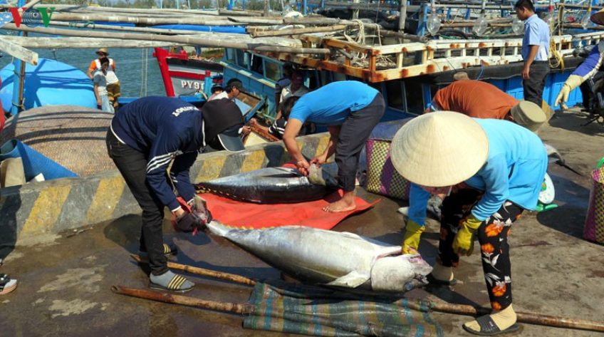 Cấp chứng thư mới cho các lô hàng thủy sản xuất khẩu sang EU