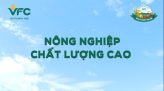 VFC Nông nghiệp chất lượng cao - 15/5/2026: Rửa vườn, phục hồi đúng cách sầu riêng sau thu hoạch