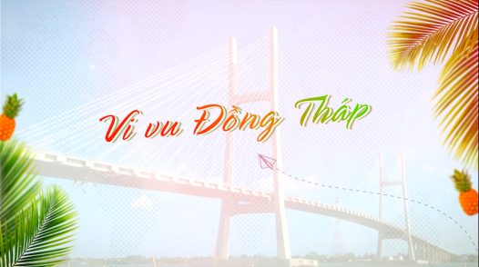 Vi vu Đồng Tháp - 26/12/2025: Festival Hoa, Kiểng Sa Đéc