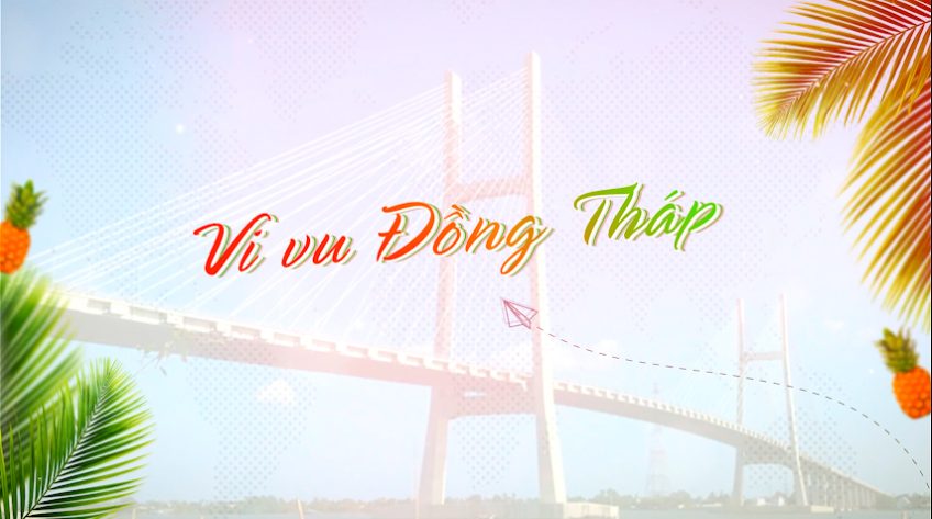 Vi vu Đồng Tháp - 28/11/2025: Tham quan trải nghiệm Trạo rắn Đồng Tâm