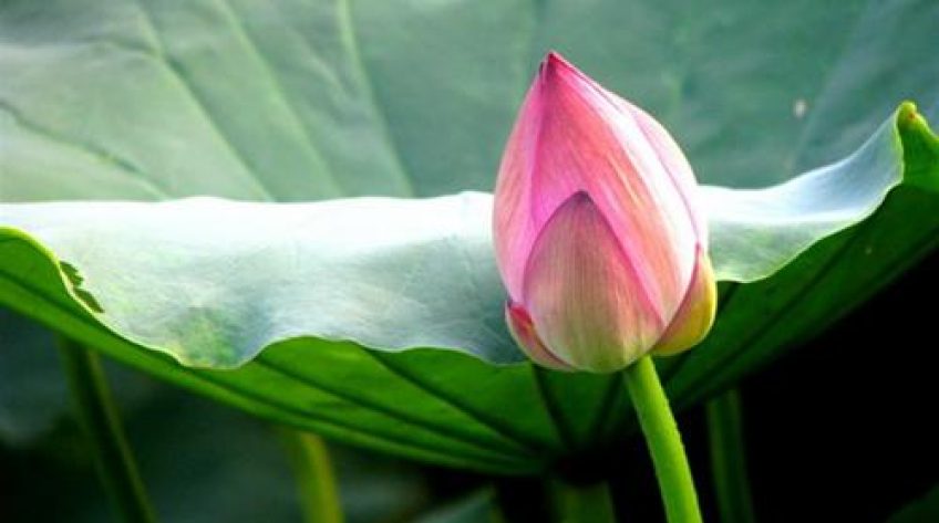 Tạp chí Văn học nghệ thuật - 13/4/2019