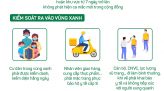 Infographic Lịch phát sóng dạy học trên Truyền hình Đồng Tháp