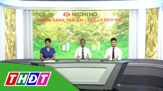 Tư vấn khuyến nông - 4/8/2025 - Bông sáng, trái sai - Nhẹ lo dịch hại