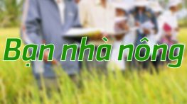 Bạn nhà nông – 18/11/2024