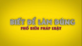 Biết để làm đúng - 25/02/2026: Đăng ký xe chọn biển số tại nhà