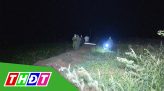 Người trồng cỏ nhung Sa Đéc hy vọng giá cỏ tăng vào các dịp lễ sắp tới