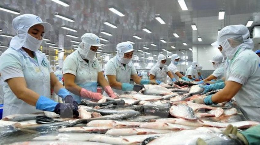 Mỹ giảm thuế chống bán phá giá với cá tra Việt Nam